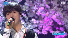 艺声(Super Junior),Super Junior - 樱花瓣