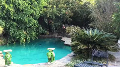 音乐短片 - In the 2015 New Year countdown video with sound