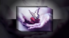 New - Love Story