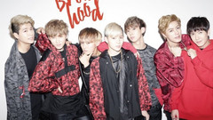 VAV - BROTHERHOOD 完整版