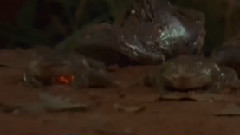 影视原声 - 电影<僵尸先生6 眉道人>片尾曲