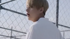 V(防弹少年团),防弹少年团 - Forever Young