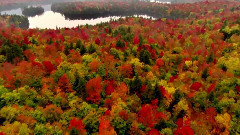 音乐短片 - Surreal Landscape Around The World