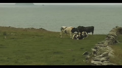 音乐短片 - 口琴 丹尼男孩