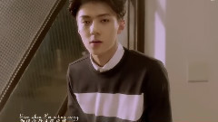吴世勋(EXO),EXO - Dear Future Husband