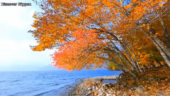 音乐短片 - A Breathtaking