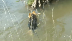 音乐短片 - Макс Плува