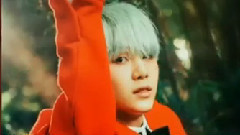 SUGA(防弹少年团) - 闵玧其的花样年华