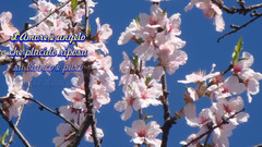 音乐短片 - 为爱感动