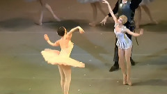 舞蹈视频 - 芭蕾舞 堂吉诃德 梦境 Tereshkina 马林斯基