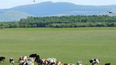 音乐短片 - 家乡