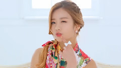 Apink - Mr. Chu
