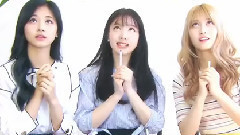TWICE - 交通安全颂