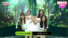 April(韩国) - Beagle Beagle & Tinker Bell