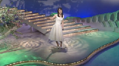 日本群星 - 望乡恋歌