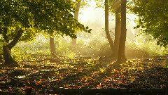 音乐短片 - 行者无疆