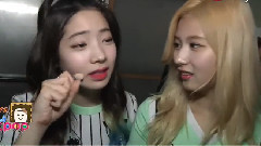 TWICE - 金多贤 特写版的 'Shy Shy Shy'