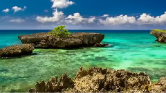 音乐短片 - 恒河的舞曲