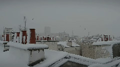 音乐短片 - 花鸟巡礼