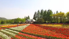 音乐短片 - Pachelbel'Canon