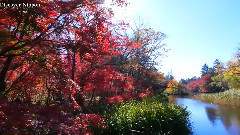 音乐短片 - Original Scenery