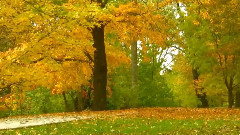 音乐短片 - Reunion