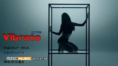 Stellar,李孝恩(Stellar),金佳英(Stellar),朱敏希(Stellar),宝蓝(T-ara) - Vibrato