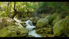 音乐短片 - 泉水叮咚