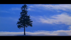 音乐短片 - Once Upon A Dream