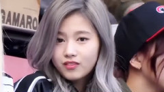 Sana(Twice),TWICE - 这么蠢萌的sana怎能不爱?