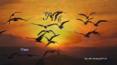 音乐短片 - Csilla