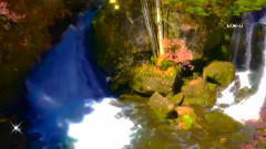 音乐短片 - Awakening From The Dream