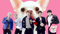 MAP6 - Swagger Time