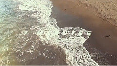 欧美群星 - 7 Minutes