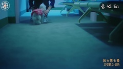 白娥娟 - So-So
