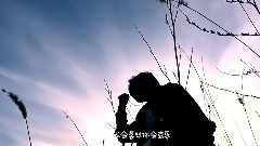 模特