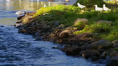 音乐短片 - 皓水莫负