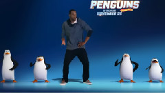 音乐短片 - 企鹅舞