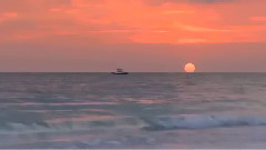 音乐短片 - 此情可待