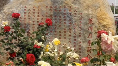 音乐短片 - 花开莱州