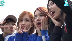 TWICE - 济州岛风光