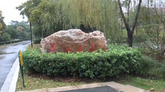 音乐短片 - 青青河边草