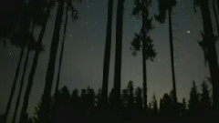 音乐短片 - The Godfather