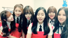 俞宙(GFriend) - 俞宙说中文Cut合集