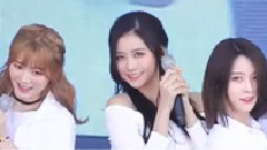 Hello Venus - Venus