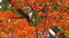 音乐短片 - 说再见的时候