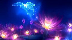 华语群星 - That touch your heart 经典哼唱