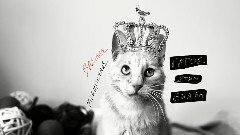欧美群星 - Gatos Stin Ekali