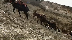 音乐短片 - 遥远的旅途