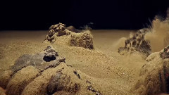 音乐短片 - 和风